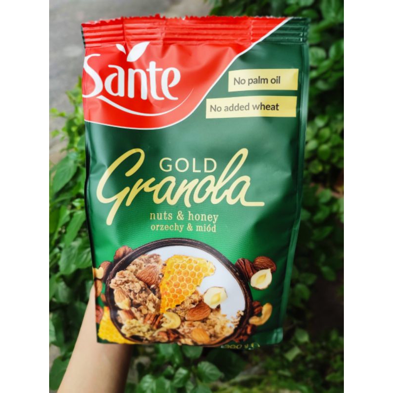 Ngũ cốc dinh dưỡng Sante Granola Fruit 300g