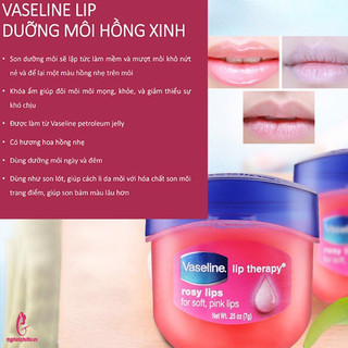 Dưỡng môi Vaseline Hồng xinh(không vỏ)