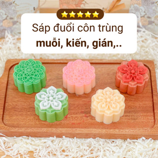 Sáp đuổi côn trùng hình bánh, khử mùi, làm thơm tủ bếp, tủ chén, thanh lọc không khí - Fresh Home Lab