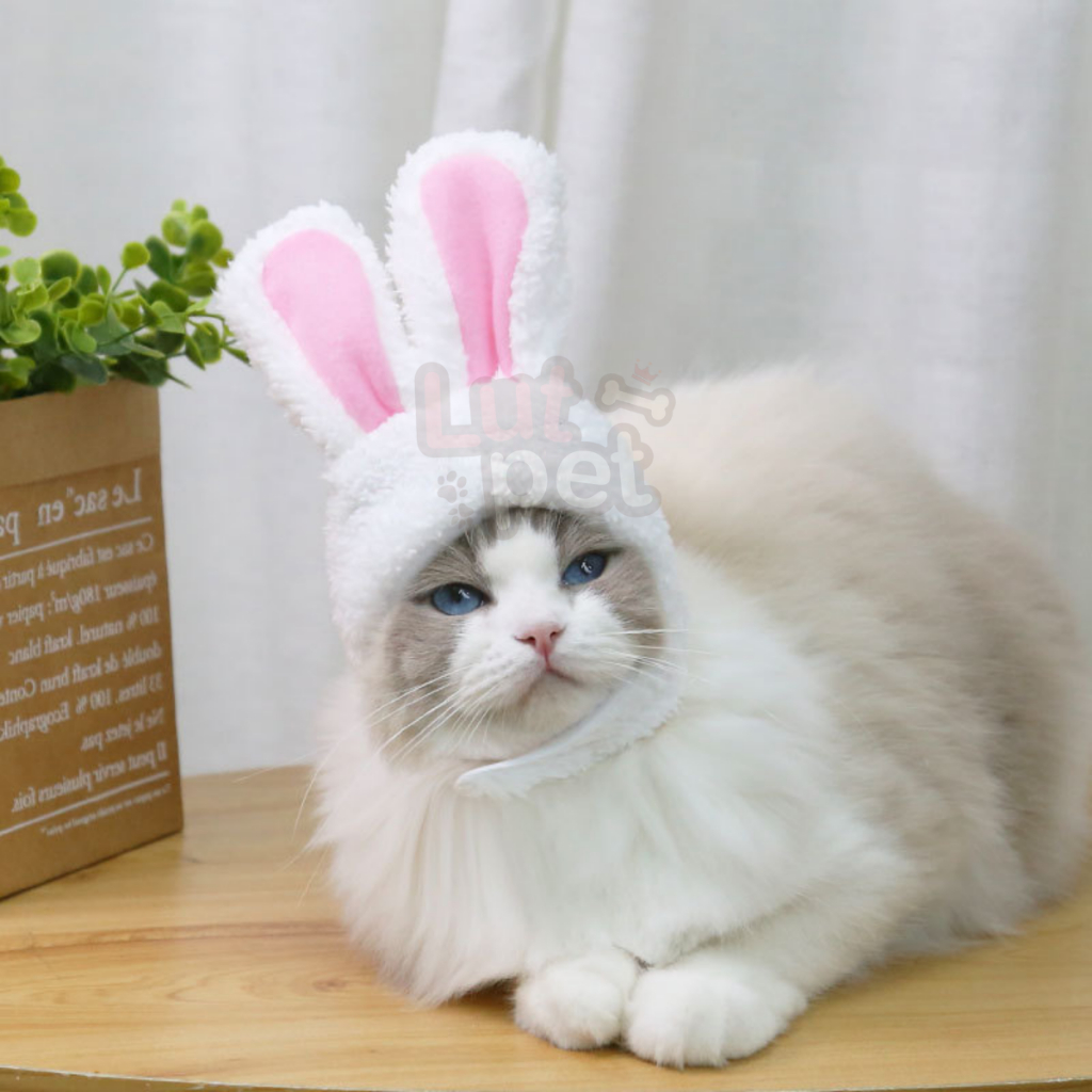 Mũ Tai Thỏ Xinh Xắn Cho Chó Mèo - Thú Cưng - Phụ Kiện Thời Trang Quần Áo Chó Mèo - lutpet