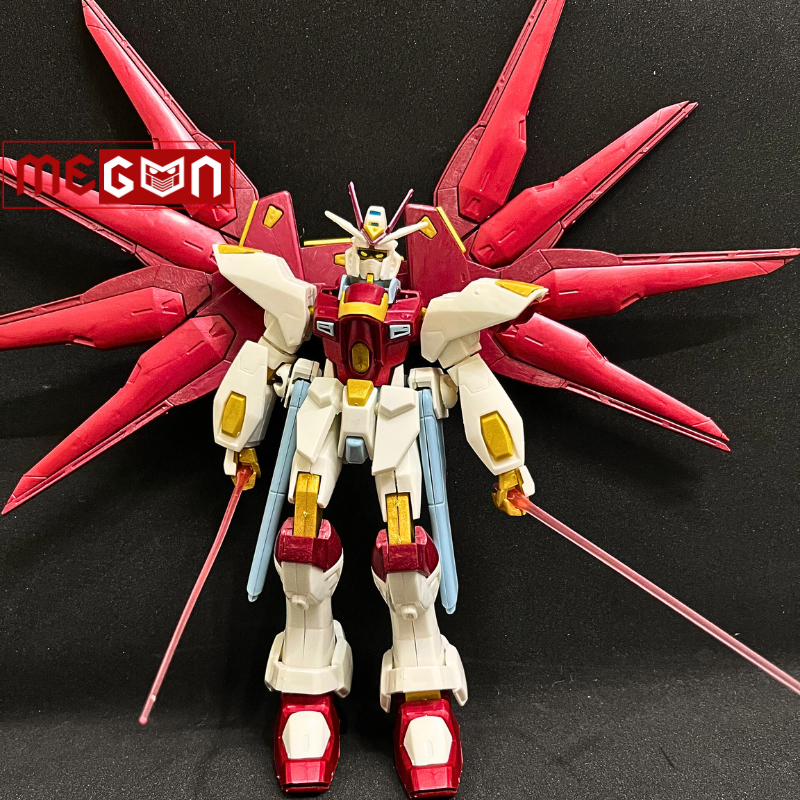 Mô hình lắp ráp xếp hình HG 1/100TV Strike Freedom mô hình Megun