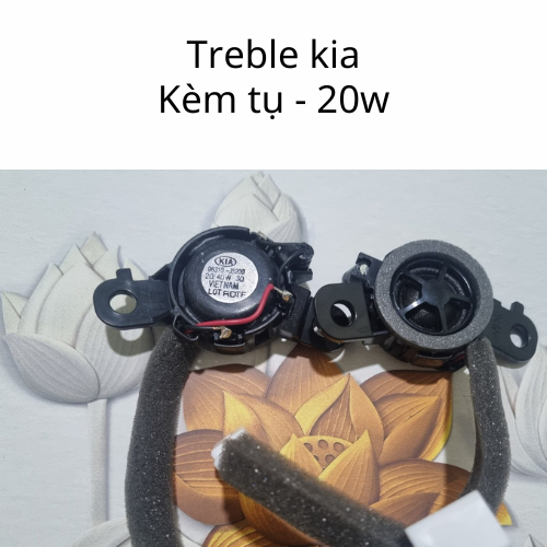 LOA TREBLE ÔTÔ KIA 20W/40W