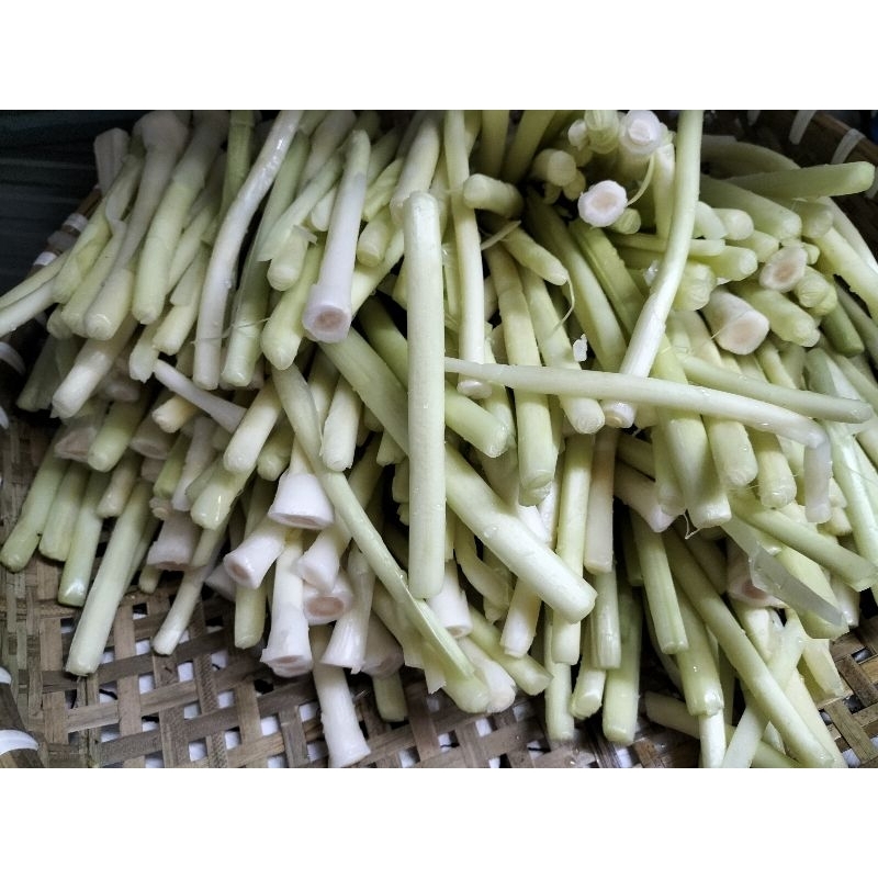 Dưa bồn bồn 500g/keo