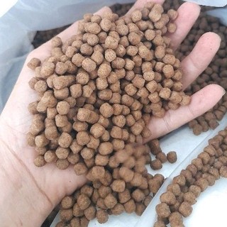 Thức ăn cá tra và cá basa 6ly 1kg (7605)