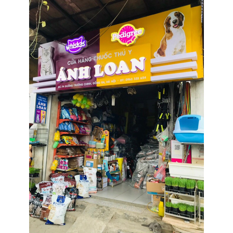 Cát vệ sinh cho mèo siêu vón, khử mùi tốt CatLik