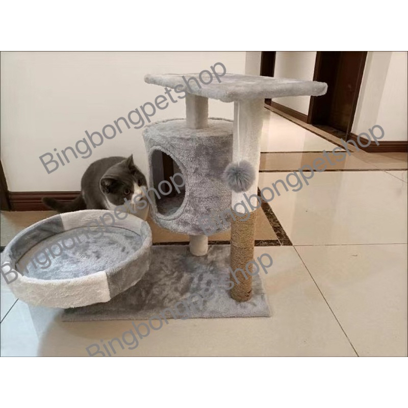Cattree TRÁI THƠM, XƯƠNG RỒNG,  nâu , CARROT đủ loại