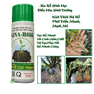 Phân bón lá npk sinh học kích thích ra rễ cực mạnh có chất điều hòa sinh trưởng kina-r666,ống 25ml