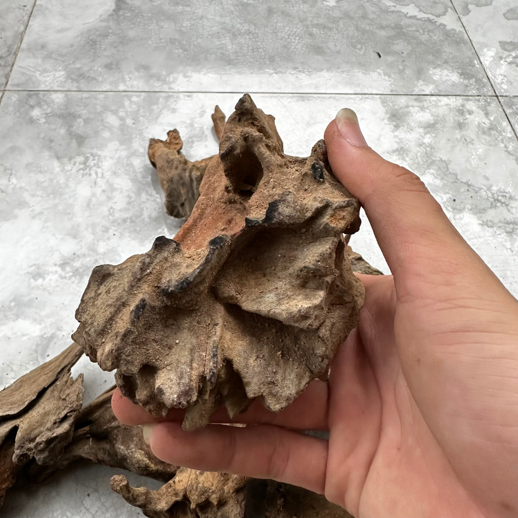 Lũa trang trí bể cá cảnh, thủy sinh