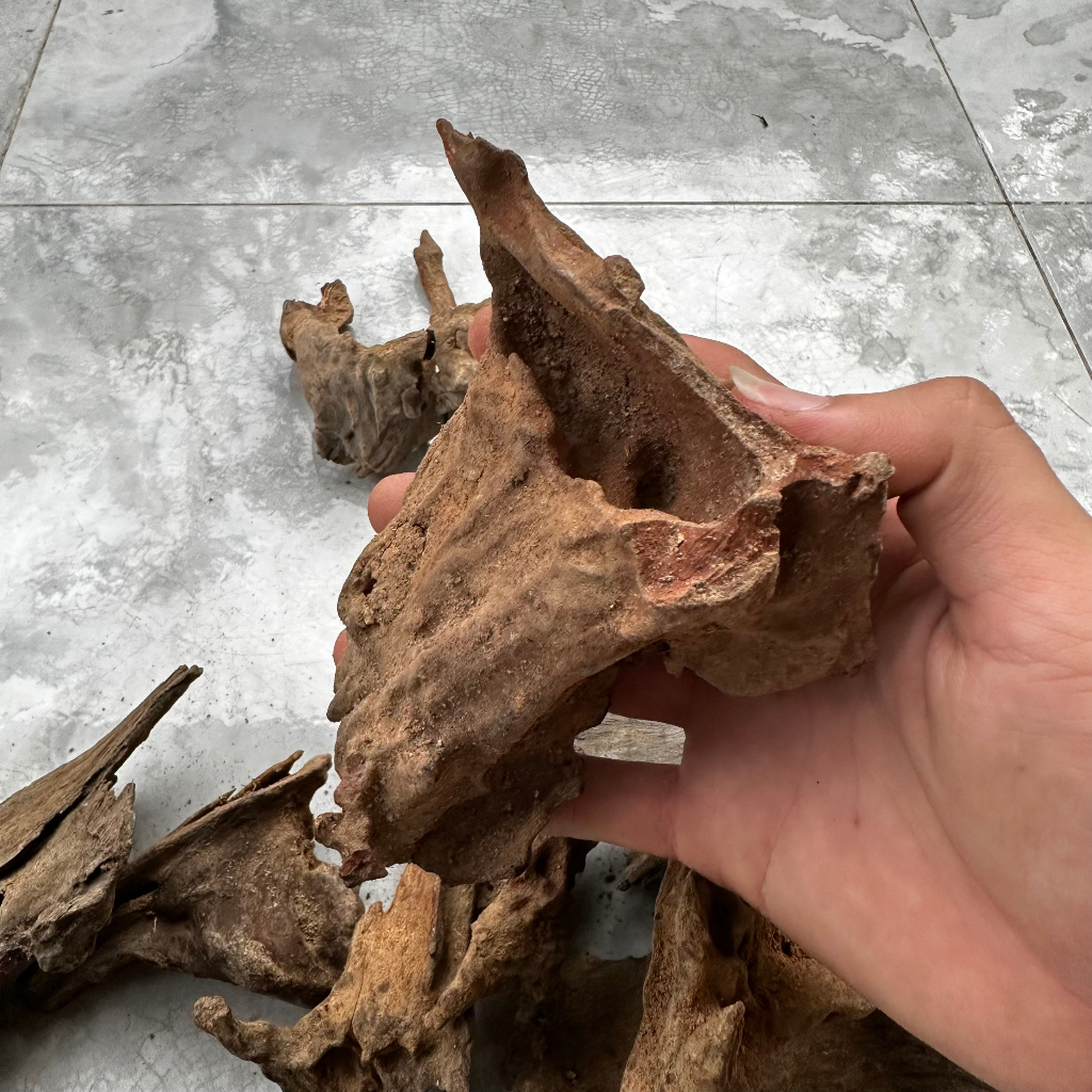 Lũa trang trí bể cá cảnh, thủy sinh
