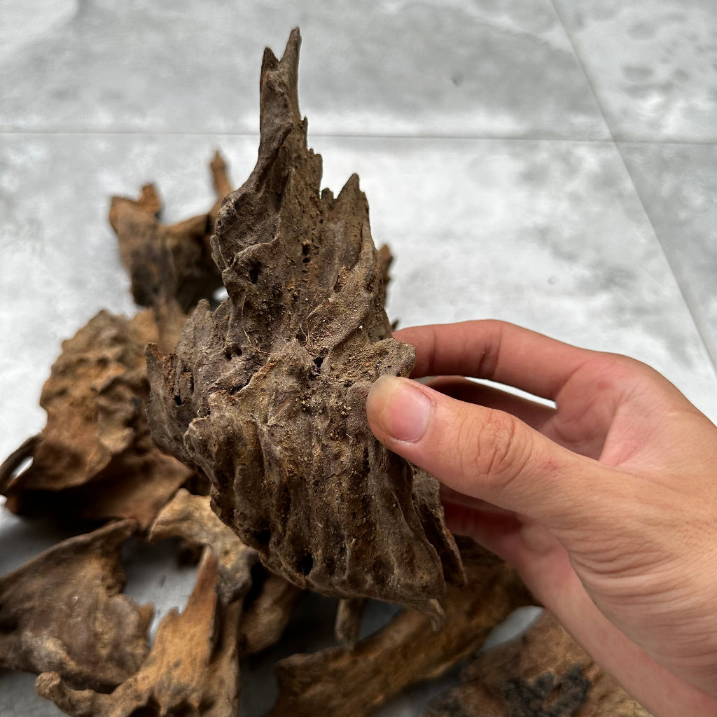 Lũa trang trí bể cá cảnh, thủy sinh