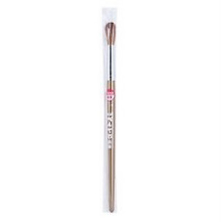 cọ vẽ màu nước PENTEL