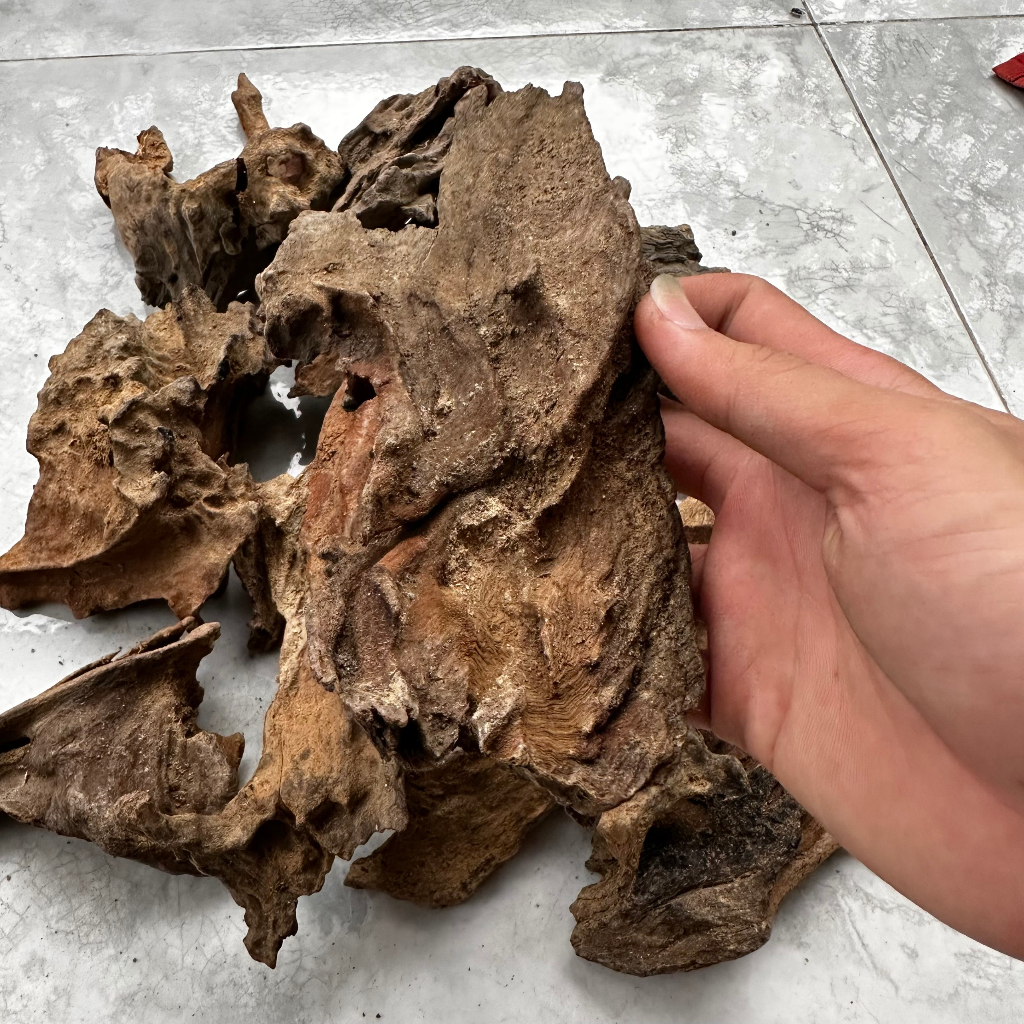Lũa trang trí bể cá cảnh, thủy sinh