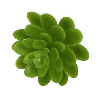 Hoa giả _ đầu bông sen đá trang trí hộp quà . chậu hoa