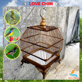 Lồng chim hút mật giá rẻ kiểu dáng sing, Lồng chim khuyên, hút mật, ốc mít - Lồng hút mật vuông LOVECHIM