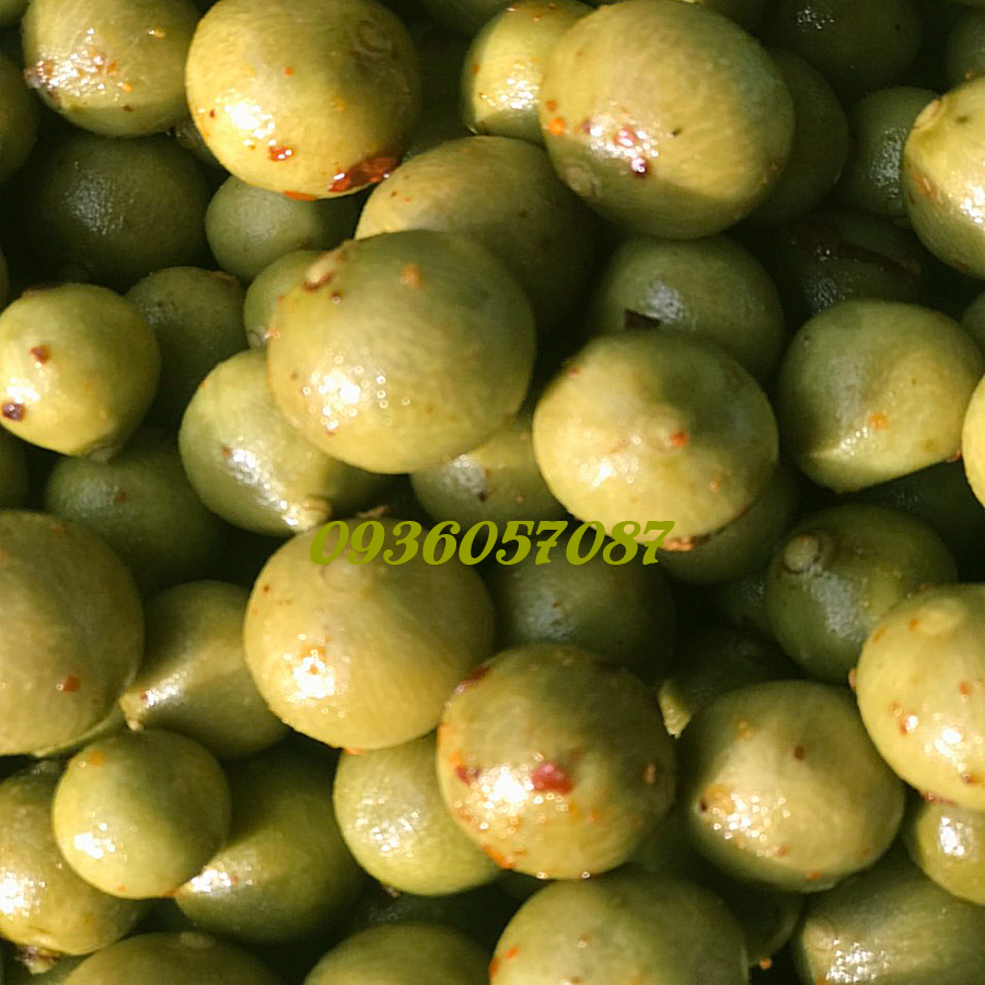 500g Sấu giòn cay- Sâú bao tử hút chân không
