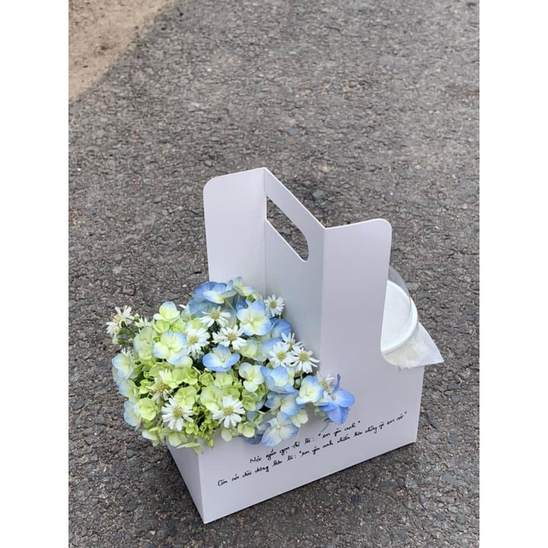 Túi kraft 2 ngăn đựng bánh, hoa, cà phê, làm quà tặng, có kèm lót đáy