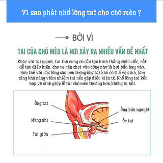 Bột nhổ lông tai cho chó mèo
