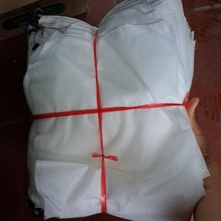 túi bọc xoài, bưởi, mít