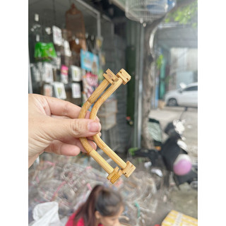 Cầu gốc có tai của hút mật (1cây)