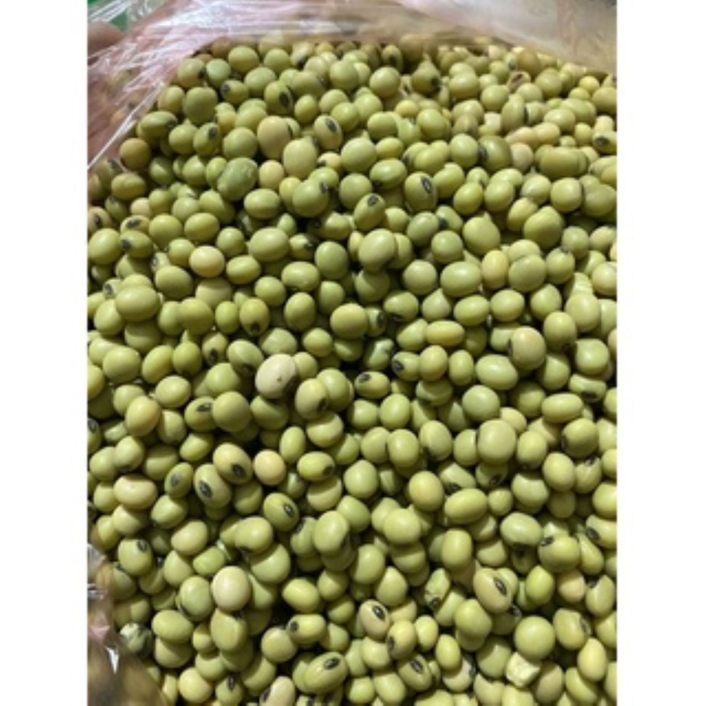 Đậu Tương Xanh  Thuần Chủng Làm Mầm Đậu Nành - Quifood