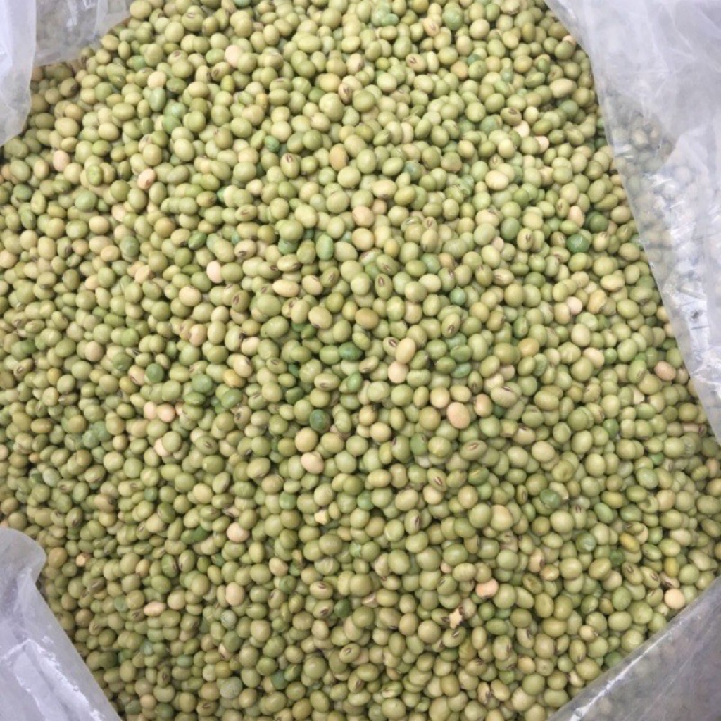 Đậu Tương Xanh  Thuần Chủng Làm Mầm Đậu Nành - Quifood