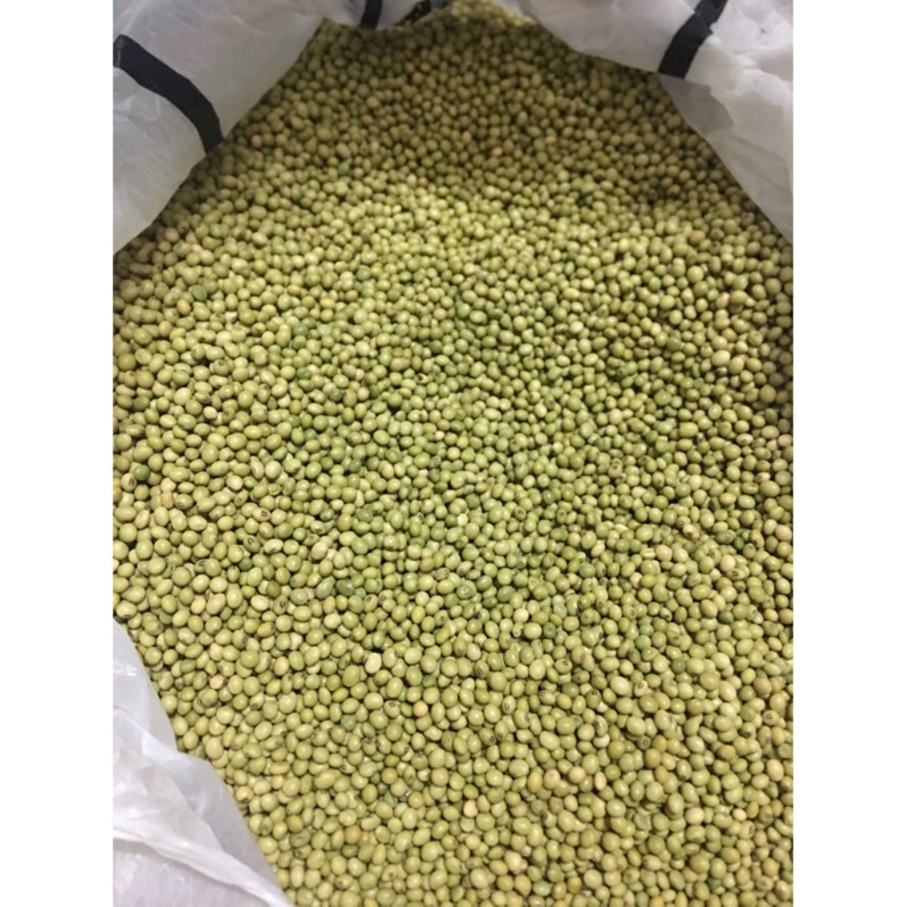 Đậu Tương Xanh  Thuần Chủng Làm Mầm Đậu Nành - Quifood