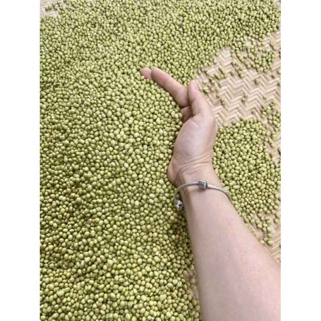 Đậu Tương Xanh  Thuần Chủng Làm Mầm Đậu Nành - Quifood