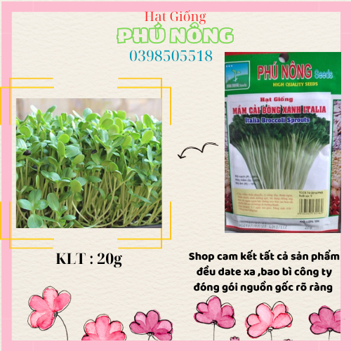 Hạt Giống Mầm Bông Cải Xanh Italia Phú Nông - Gói 20g