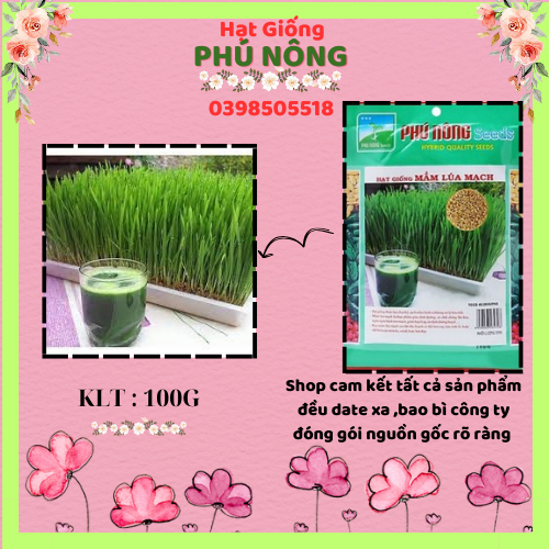 Hạt giống mầm lúa mạch cỏ lúa mì Phú Nông 100gr