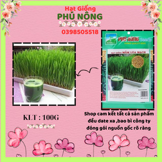 Hạt giống mầm lúa mạch cỏ lúa mì Phú Nông 100gr