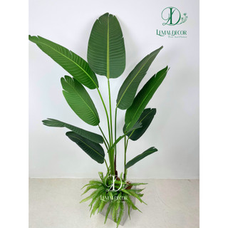 Cây chuối cảnh nhựa - chuối rẻ quạt 1m2-1m8 cây giả trang trí decor nội thất phòng khách