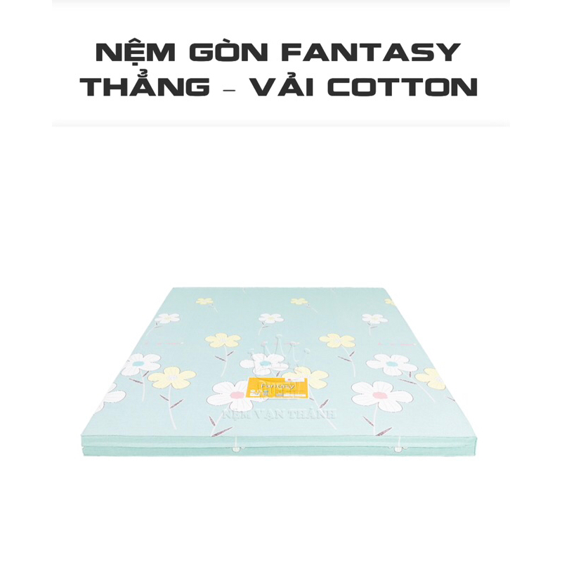 NỆM GÒN FANTASY VẠN THÀNH THẲNG - VẢI COTTON