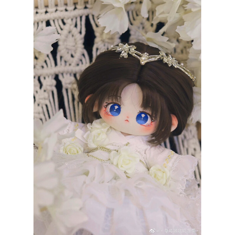 Có sẵn doll tóc tơ có xương búp bê bông SPRING doll không thuộc tính 20cm