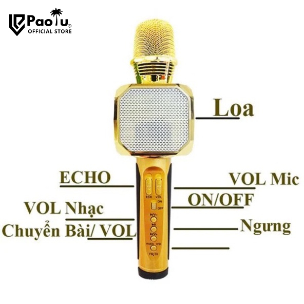 Micro Karaoke Bluetooth SD 10 Paolu Cho Mọi Loại Thiết Bị Có Bluetooth
