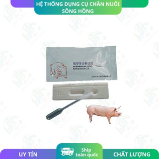 Que Thử Thai Cho Heo Lợn Chính Xác đến 90% - Que Thử Thai Heo Phát Hiện Mang Thai Nhanh Chóng, Chính Xác Cao