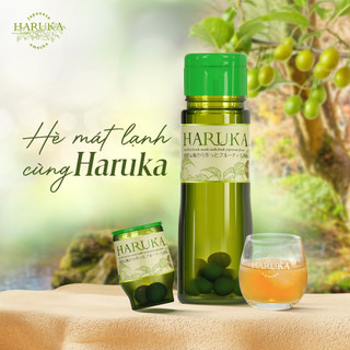 Rượu Haruka - Rượu Mơ Umeshu Sake Nhật Bản 180ML 820ML 14%
