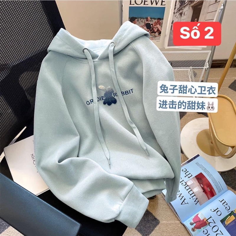 Áo Hoodies nỉ có mũ hàng QC