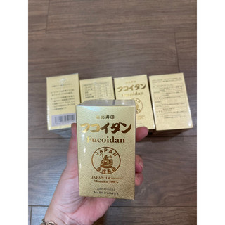 Tảo nâu Fucoidan hỗ trợ điều trị ung bướu