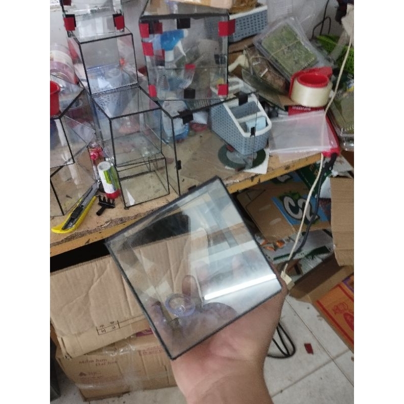 Tank kính 3li 12x12x12