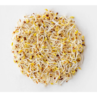 [Chỉ Giao HCM] Giá Sống - 200g