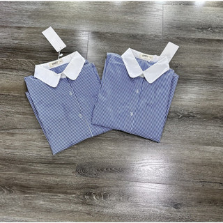 Áo sơmi sọc kẻ xanh