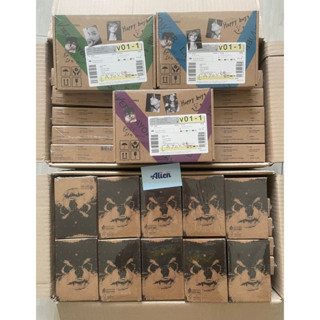 [Có sẵn] BTS V ALBUM - "LAYOVER"