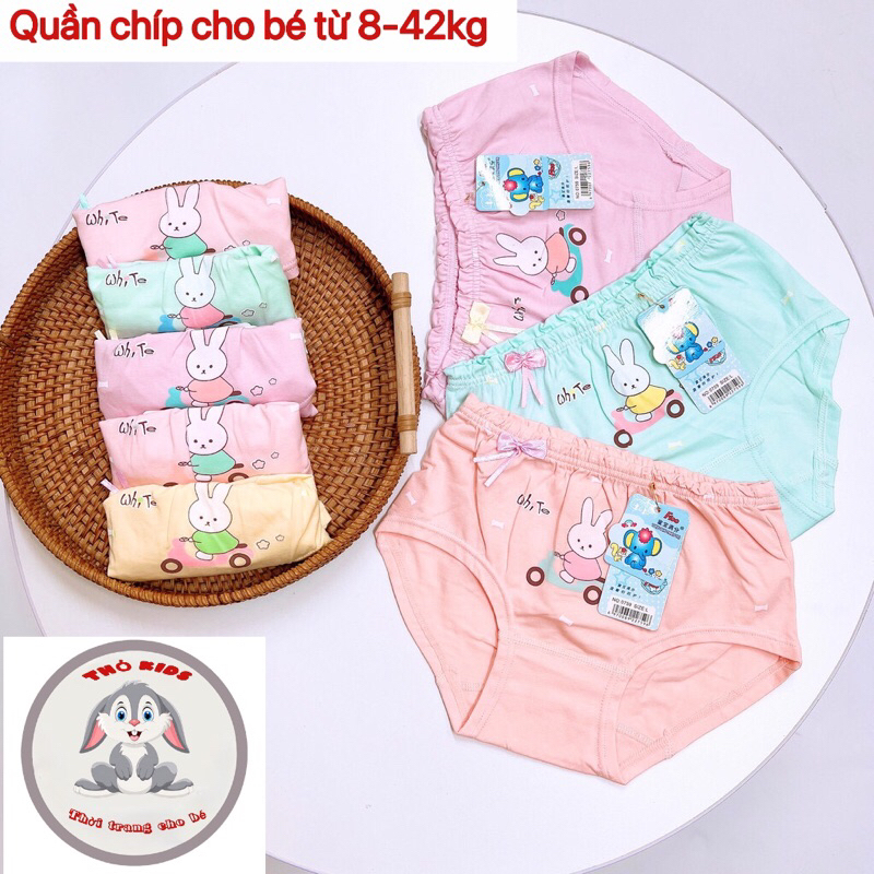 Quần chíp bé gái,  100% cotton co giãn đàn hồi tốt, thông thoáng thấm hút mồ hồi TE2