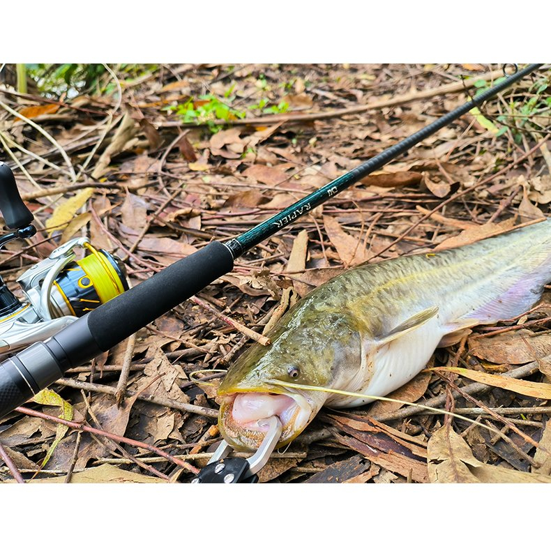 Cần câu máy đứng Tsurinoya Rapier 2023