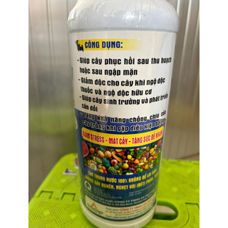Phân bón dưỡng rễ và kích rễ Cao Phân Dơi (cây mai vàng, hoa kiểng)