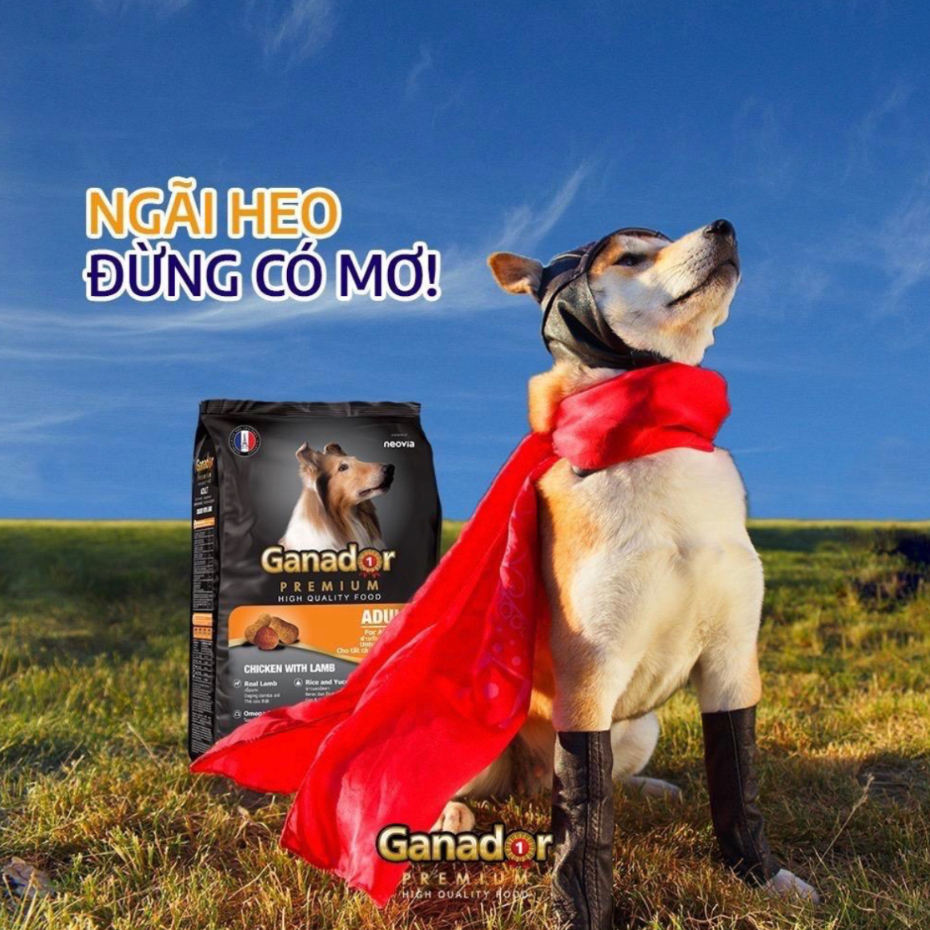 ! Hạt Ganador Premium Adult gói 1.5-3kg hạt khô dành cho chó trưởng thành vị cừu và gạo hỗ trợ giảm mùi phân hôi