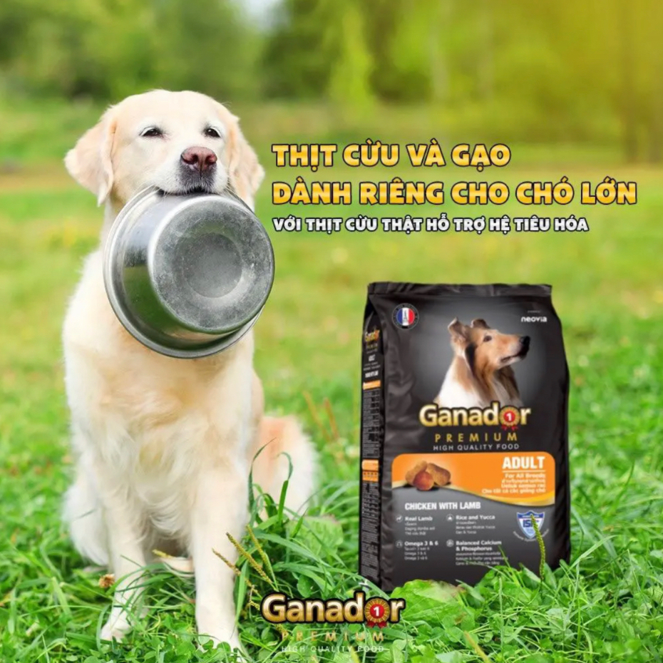! Hạt Ganador Premium Adult gói 1.5-3kg hạt khô dành cho chó trưởng thành vị cừu và gạo hỗ trợ giảm mùi phân hôi