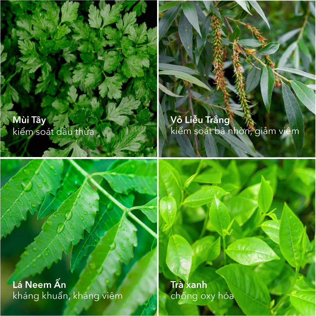 Kem kiểm soát dầu cho da mụn ALBA BOTANICA ACNEDOTE OIL CONTROL LOTION