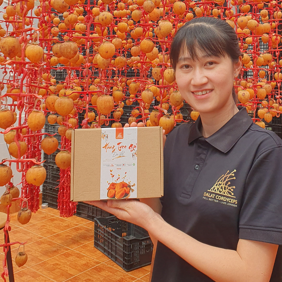 Hồng treo gió Đà Lạt - Dalat Cordyceps - Loại cao cấp