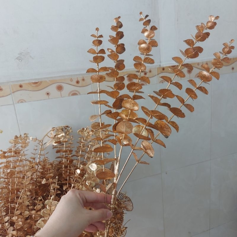 ĐUÔI CÔNG - NHÁNH TÁO- RẺ QUẠT NHŨ TRANG TRÍ CHẬU ĐÀO ĐÔNG